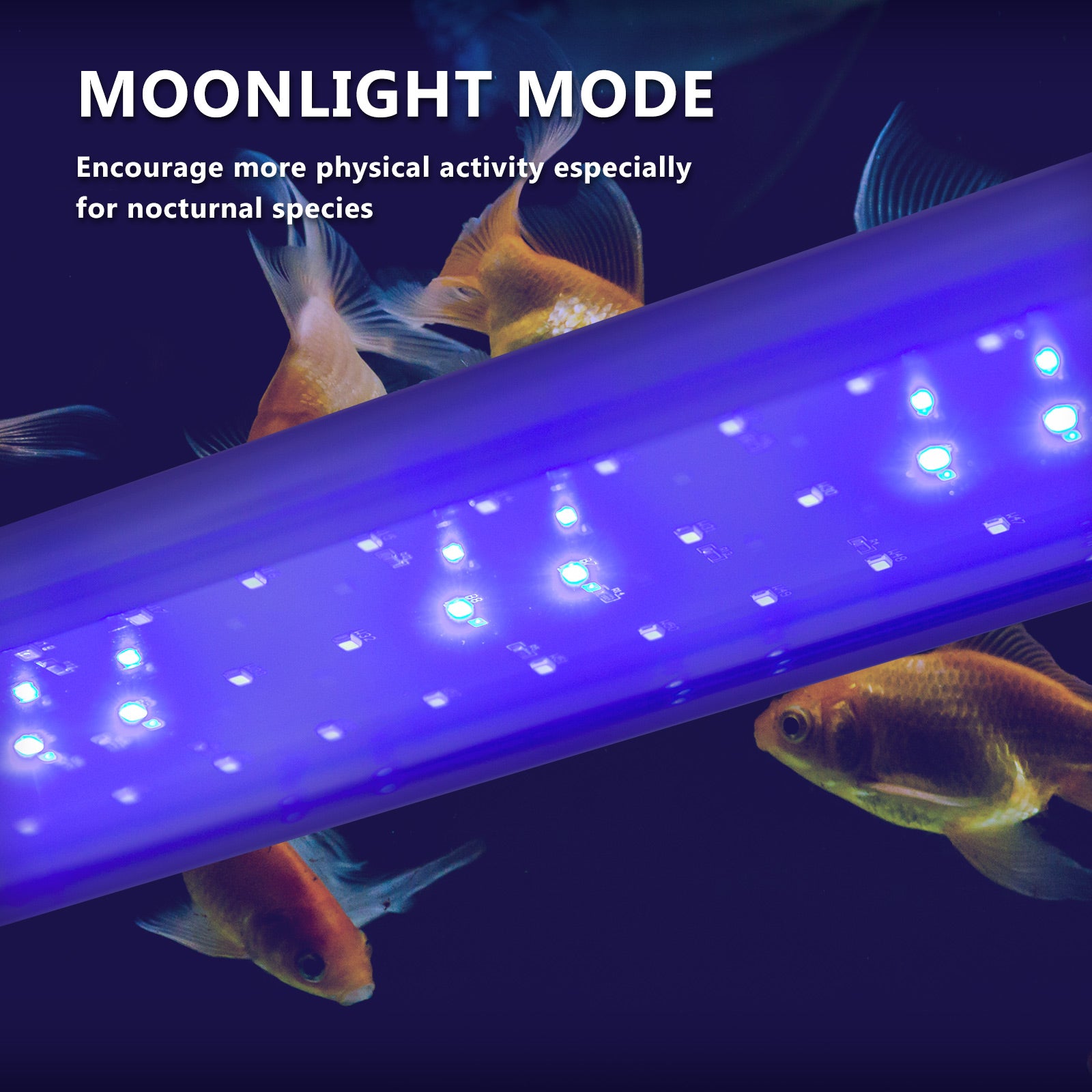 Dynamic Power 11W LED light for aquariums, featuring blue and white settings, designed for 50-70cm tanks, showcasing its sleek design and adjustable mount.