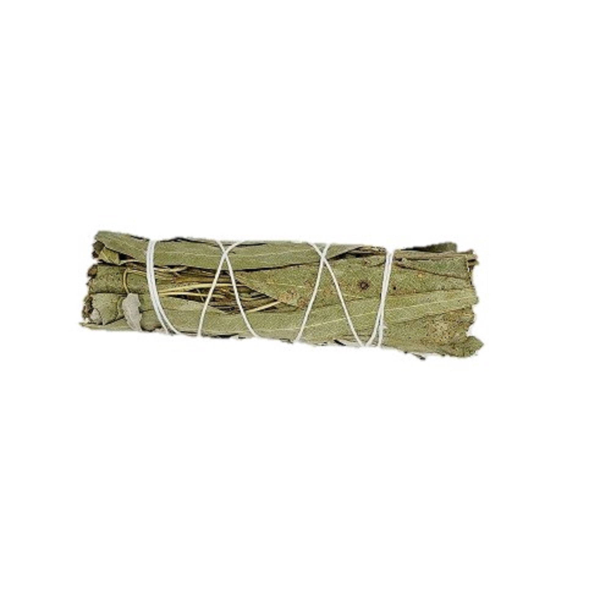 Eucalyptus smudging bundle measuring 8-9 inches long, featuring dried eucalyptus leaves tied together for cleansing rituals.