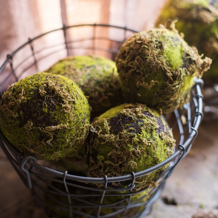 A realistic faux artificial decorative moss ball in green and brown colors, showcasing its lifelike texture and design.