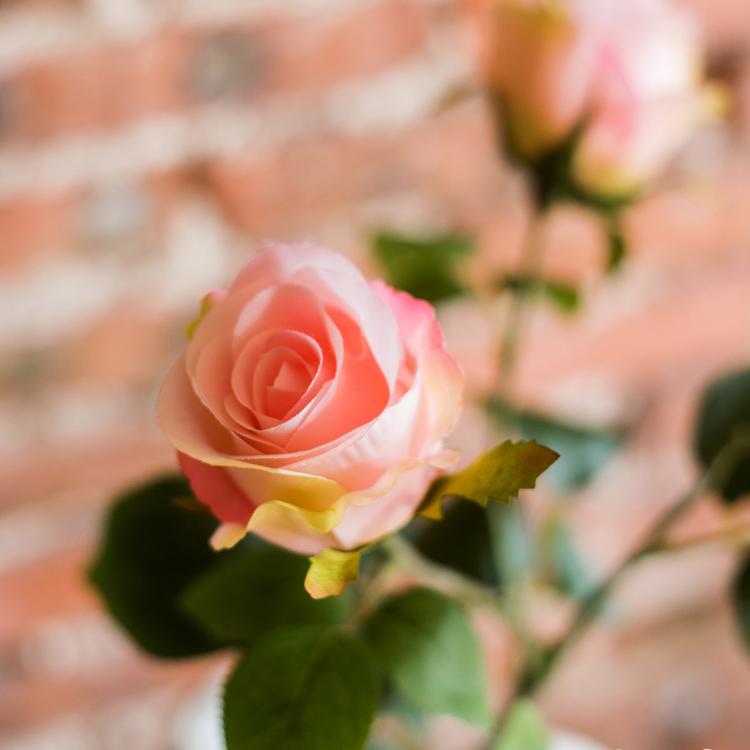 A beautiful arrangement of four light pink faux silk rose blooms on a 31-inch tall stem, showcasing realistic petals and vibrant color.