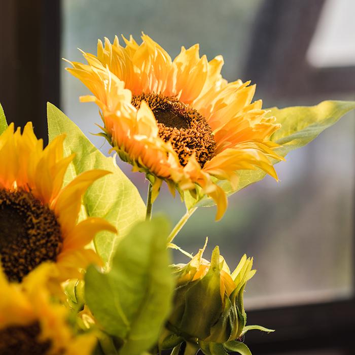 A vibrant 28-inch tall faux silk sunflower stem with a large bloom and a bud, showcasing bright yellow petals and green leaves.