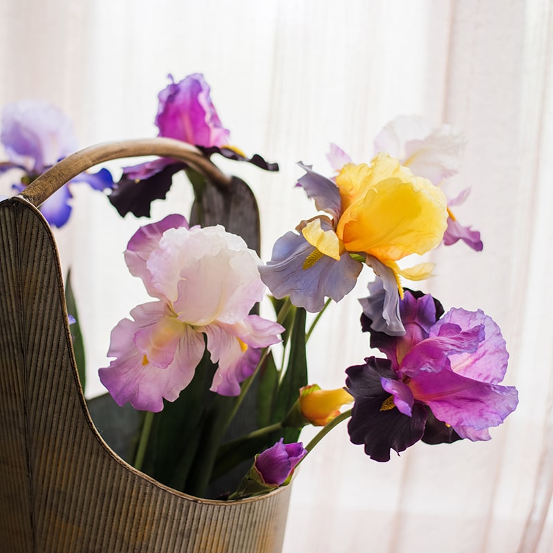 A tall 31.5-inch faux artificial iris flower stem in vibrant pastel colors, showcasing delicate silk petals and a sturdy plastic stem.