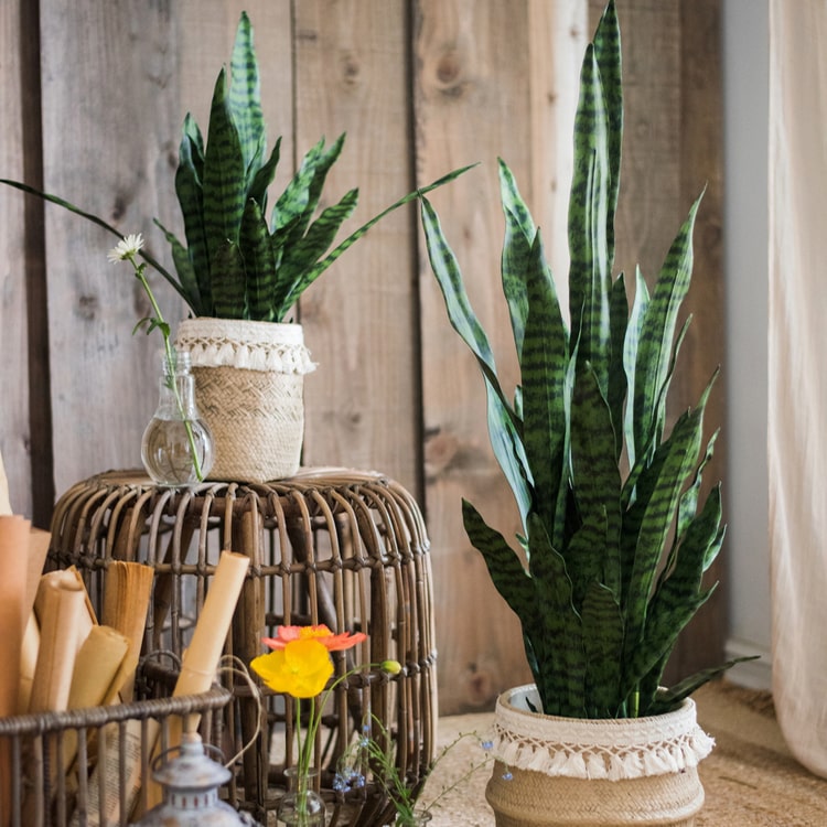 A realistic faux artificial snake plant in a decorative pot, showcasing vibrant green leaves and a modern design.