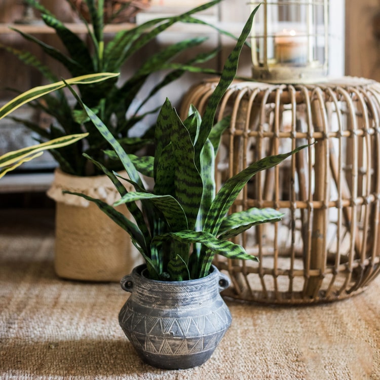 A realistic faux artificial snake plant in a decorative pot, showcasing vibrant green leaves and a modern design.