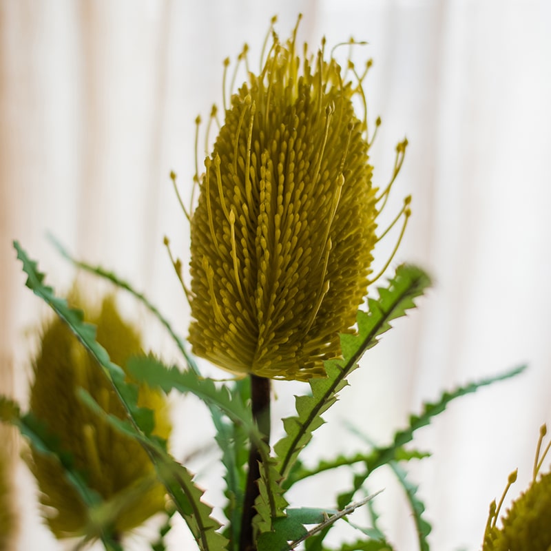 28-inch tall Faux Banksia Integrifolia silk flower with vibrant red and yellow blooms and green leaves, perfect for floral arrangements.