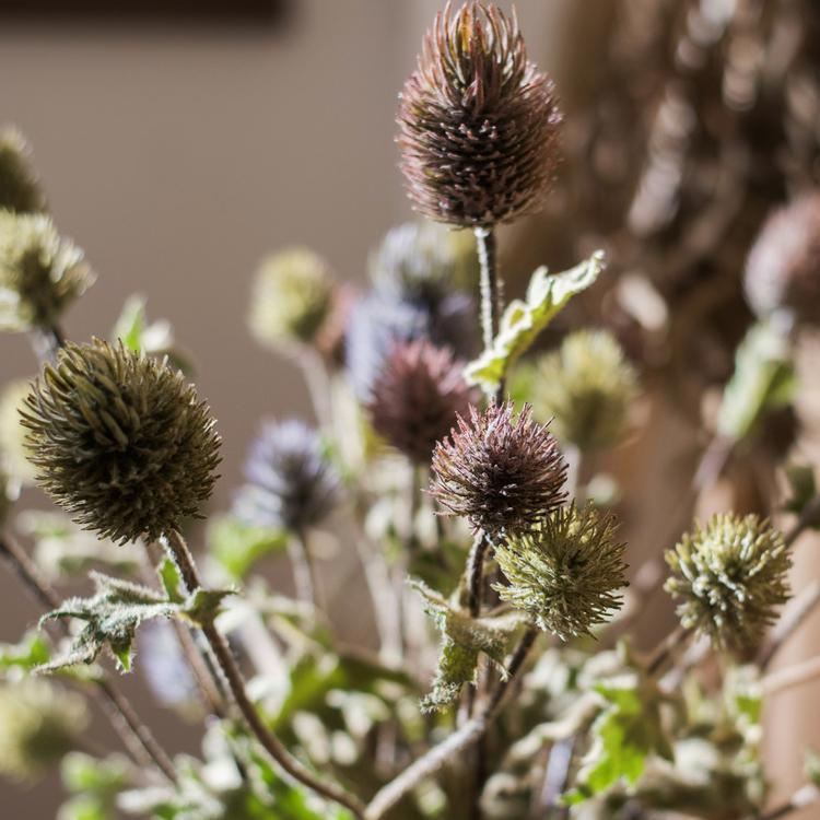 A 26-inch tall faux silk artificial thistle flower stem with three blooms in blue, green, and red, showcasing realistic petals and elegant design.