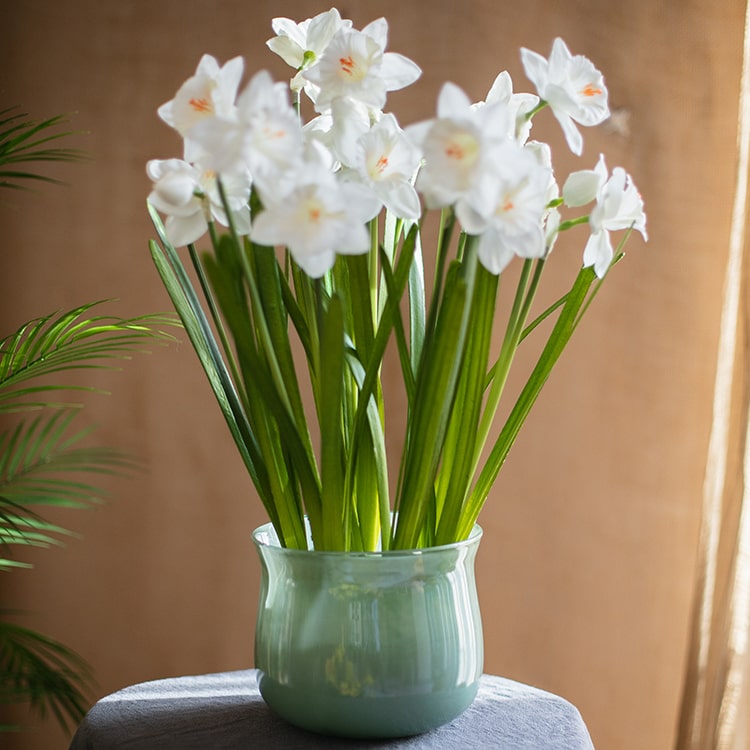 A 19-inch tall white faux daffodil flower stem with two blooms and one bud, featuring realistic silk petals and green leaves.