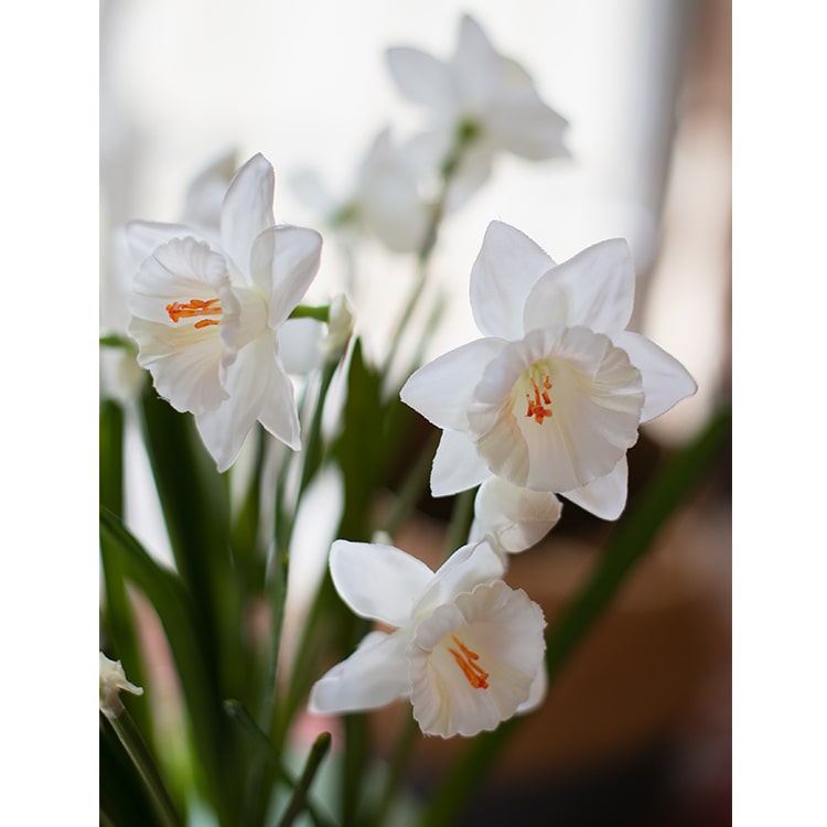 A 19-inch tall white faux daffodil flower stem with two blooms and one bud, featuring realistic silk petals and green leaves.