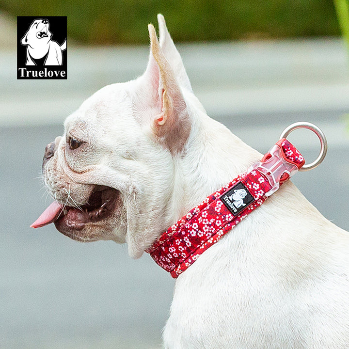 Floral dog collar in poppy red with padded design and durable snap buckle.