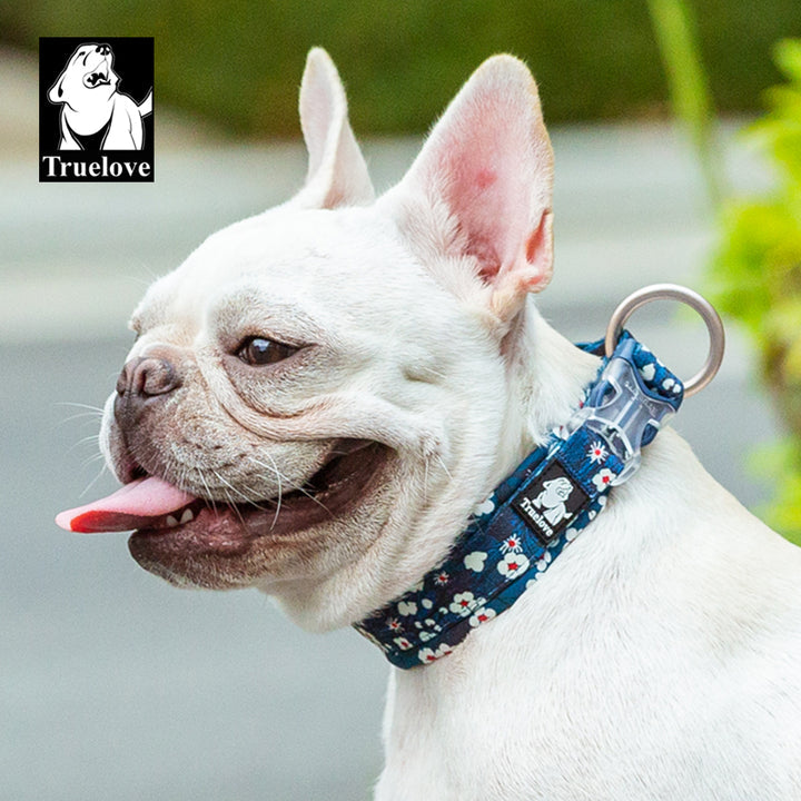 Floral Collar Saxony Blue S featuring a vibrant floral pattern, padded for comfort, with a durable snap buckle and O ring for leash attachment.