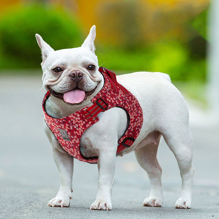 Floral Doggy Harness in red with floral patterns, featuring adjustable straps and a rust-proof aluminum D buckle.