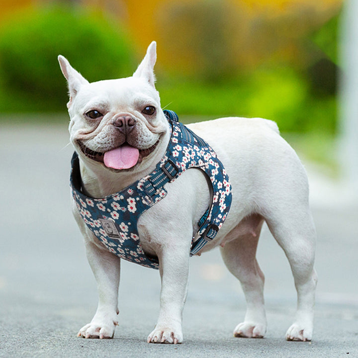 Floral Doggy Harness Saxony Blue 2XS featuring a vibrant floral pattern, adjustable straps, and a rust-proof aluminum D buckle.