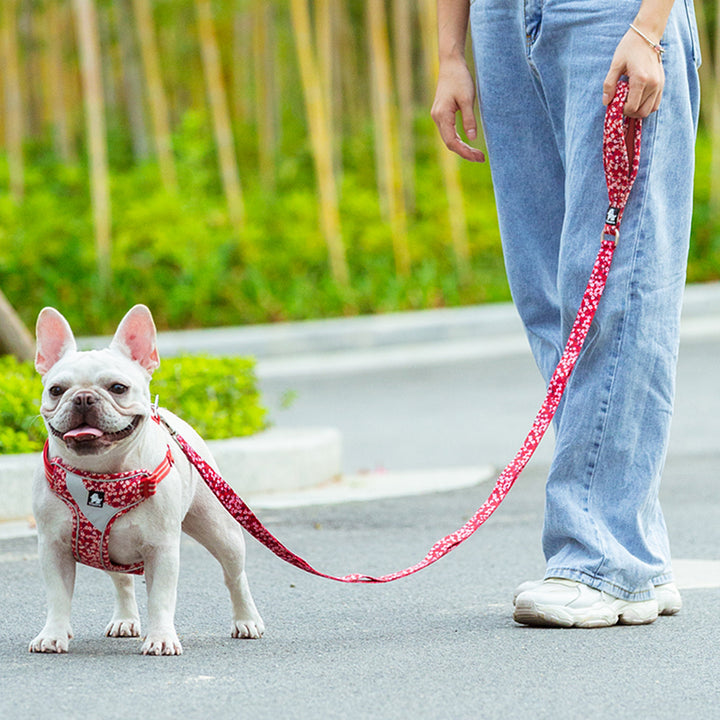 Floral Multi Handle in Poppy Red featuring a soft neoprene grip and zinc alloy snap hook, perfect for stylish pet walks.