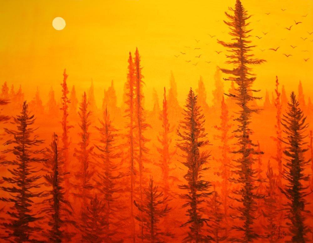 A beautiful glossy print of a forest at dawn, showcasing vibrant colors and serene landscape.