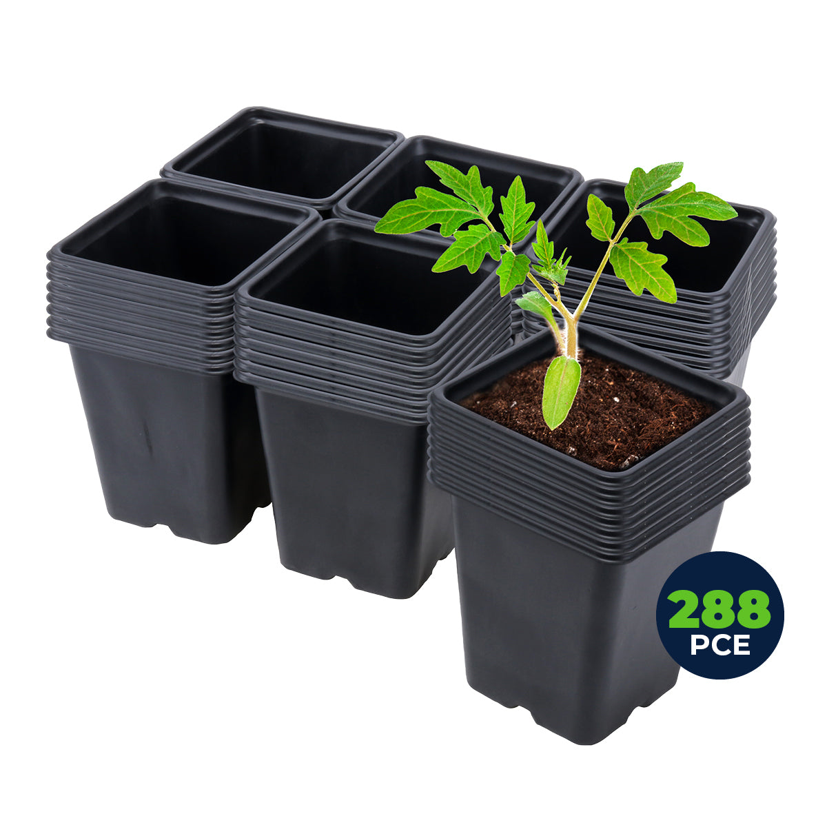 288PCE Garden Greens square planter pots, 11cm size, ideal for seedlings and herbs, featuring effective drainage holes and sturdy rims.