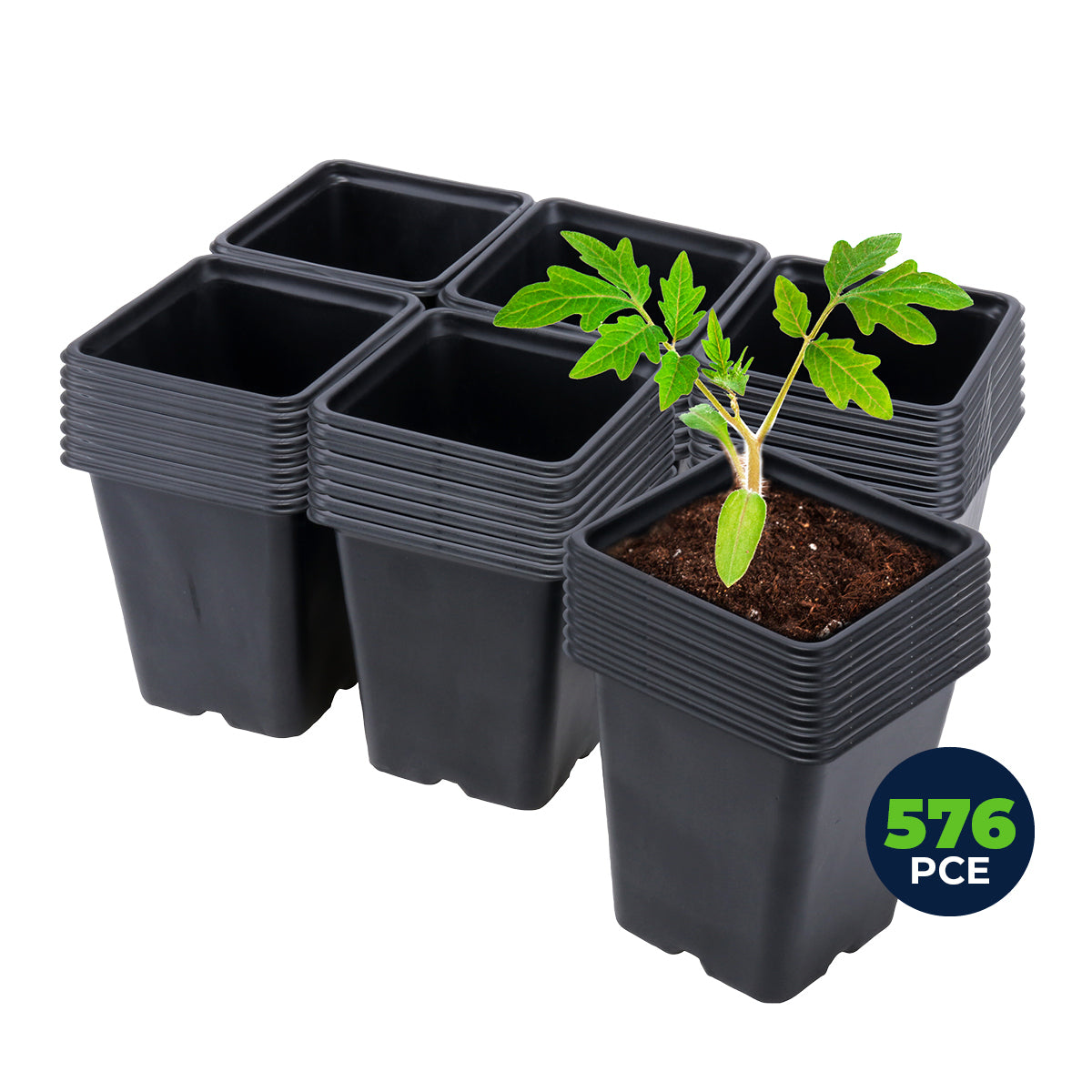 A collection of 576 square black planter pots, each measuring 11cm, designed for growing seedlings and herbs with flexible sides and drainage holes.