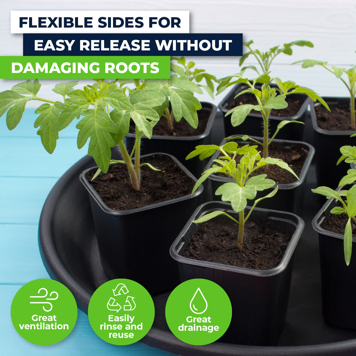 A collection of 576 square black planter pots, each measuring 11cm, designed for growing seedlings and herbs with flexible sides and drainage holes.