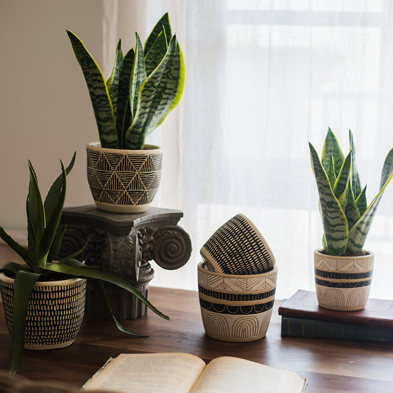 Geometric Art Concrete Flower Pot in black and cream colors, showcasing its modern design and drainage hole.