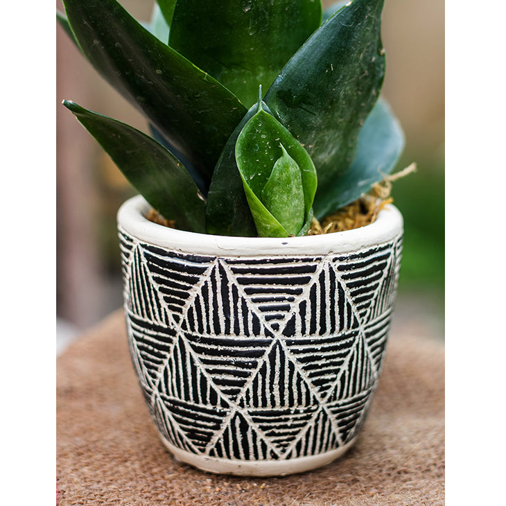 Geometric Art Concrete Flower Pot in black and cream colors, showcasing its modern design and drainage hole.