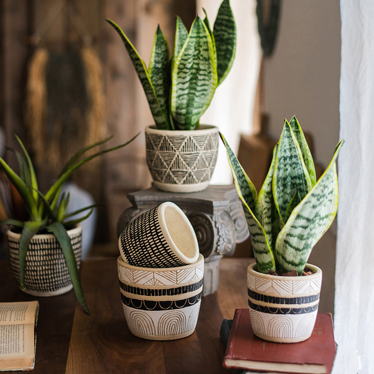 Geometric Art Concrete Flower Pot in black and cream colors, showcasing its modern design and drainage hole.