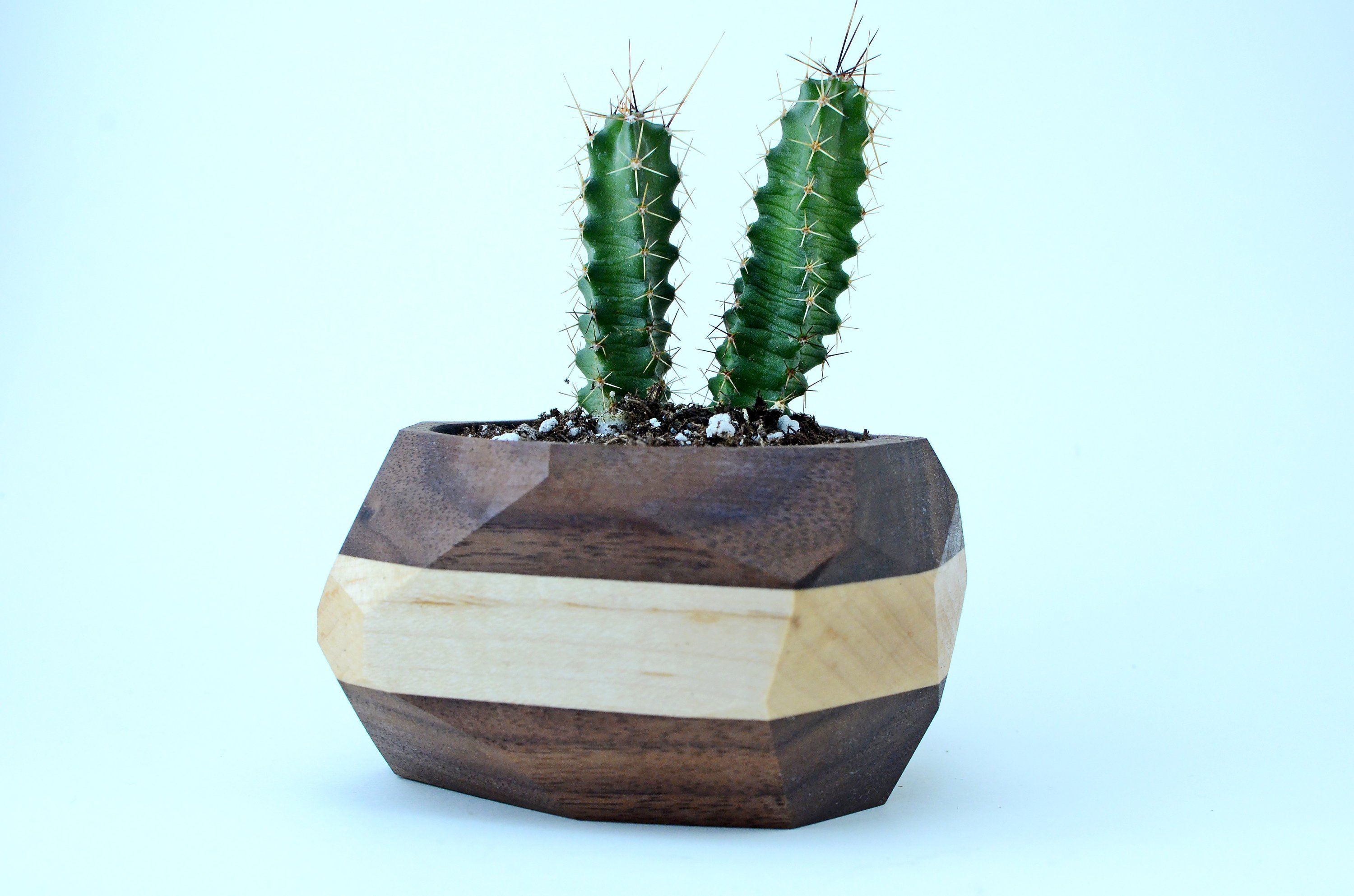 A modern geometric planter made from Black Walnut and Maple, designed for cacti and succulents, showcasing unique wood grain patterns.