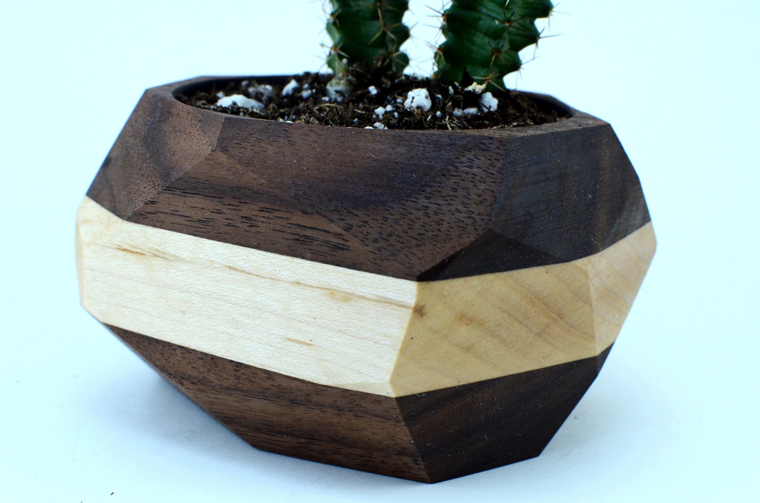 A modern geometric planter made from Black Walnut and Maple, designed for cacti and succulents, showcasing unique wood grain patterns.