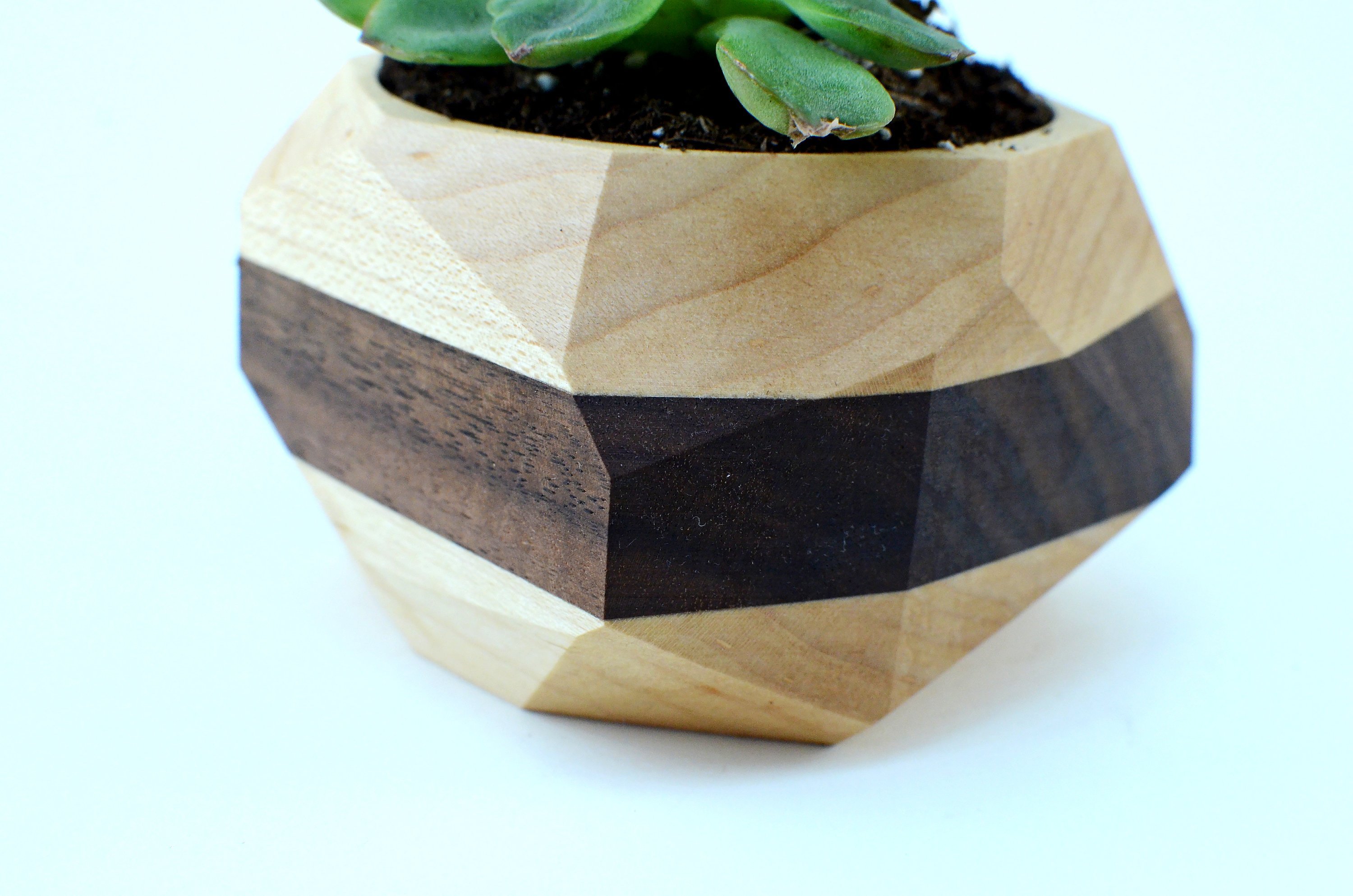 A modern geometric planter made from Black Walnut and Maple, designed for cacti and succulents, showcasing unique wood grain patterns.