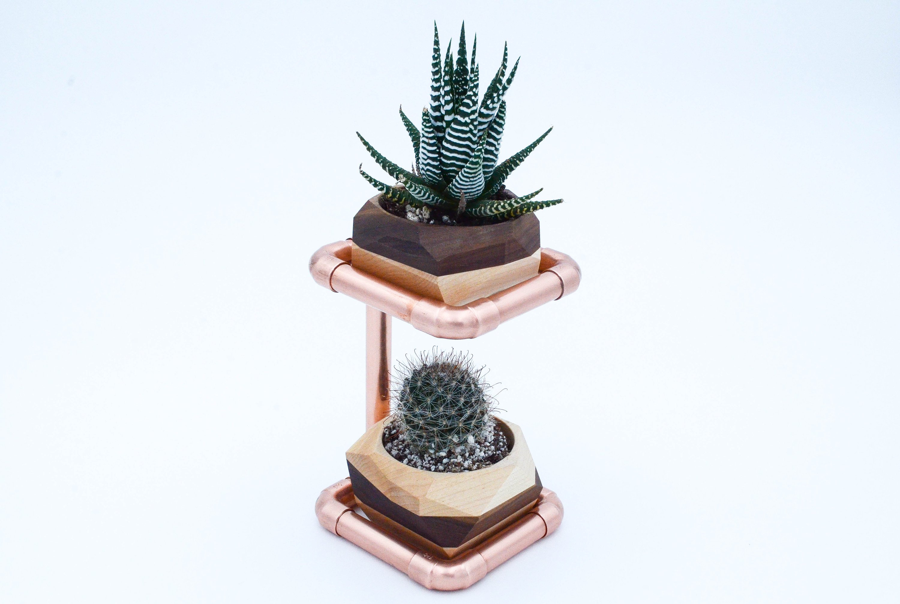 Geometric Double Cactus & Succulent Planter featuring polished copper stand and wooden planters in Maple and Walnut finishes.