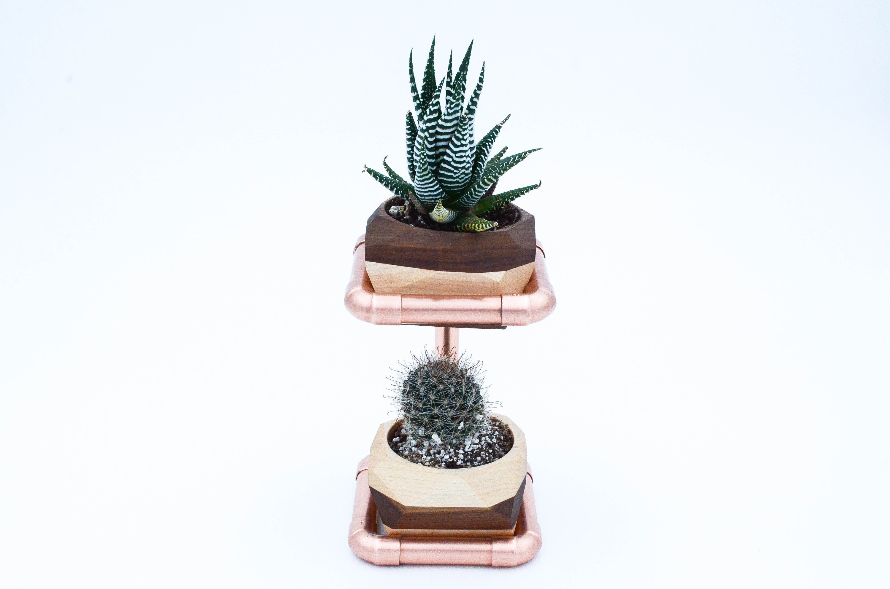 Geometric Double Cactus & Succulent Planter featuring polished copper stand and wooden planters in Maple and Walnut finishes.