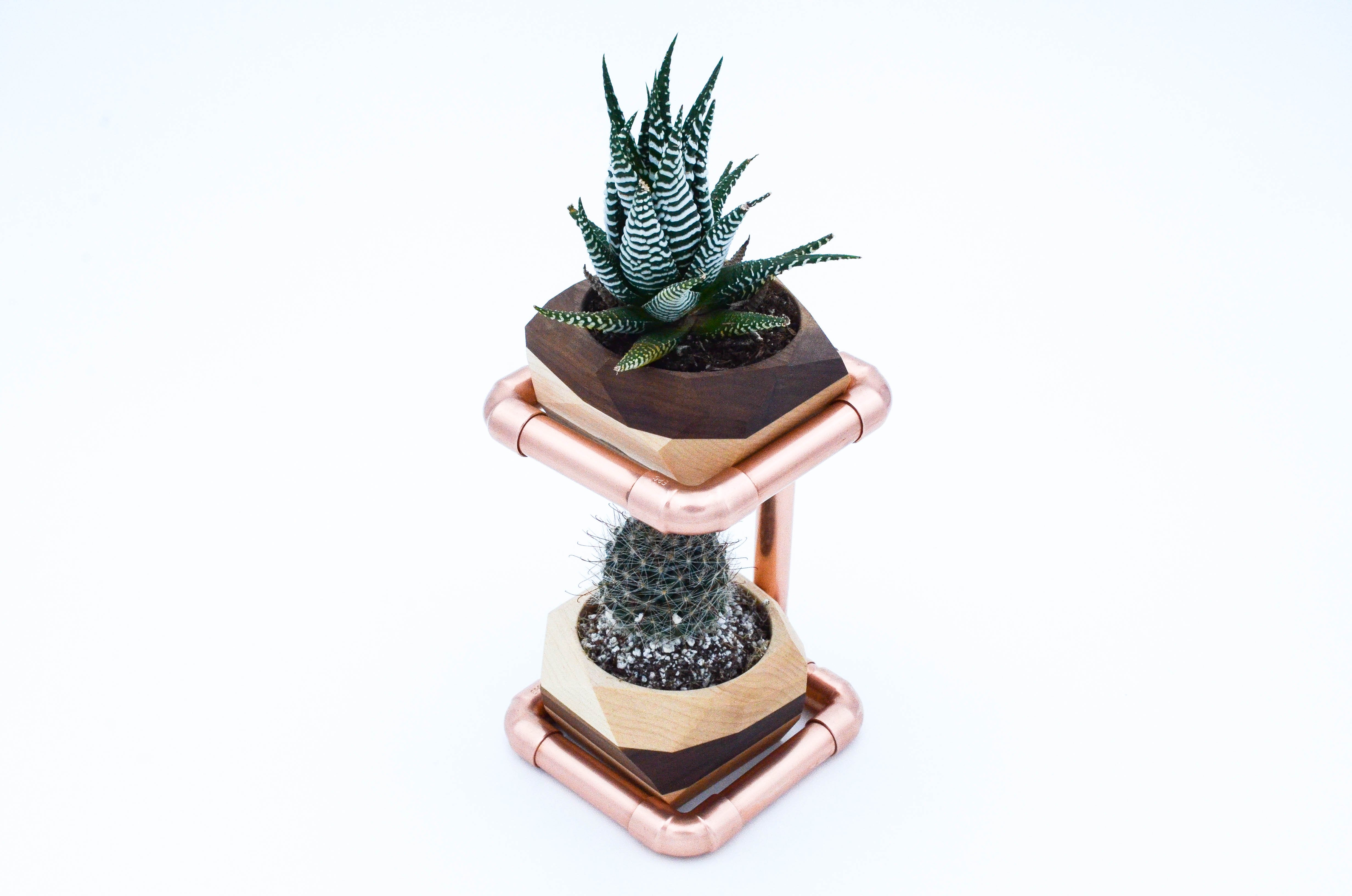 Geometric Double Cactus & Succulent Planter featuring polished copper stand and wooden planters in Maple and Walnut finishes.