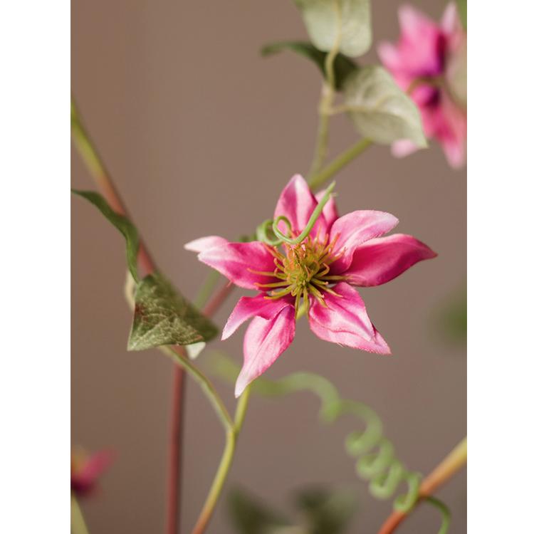 A 40-inch tall German Clematis flower stem in rose pink, featuring seven lifelike silk flowers and green leaves, perfect for home decor.