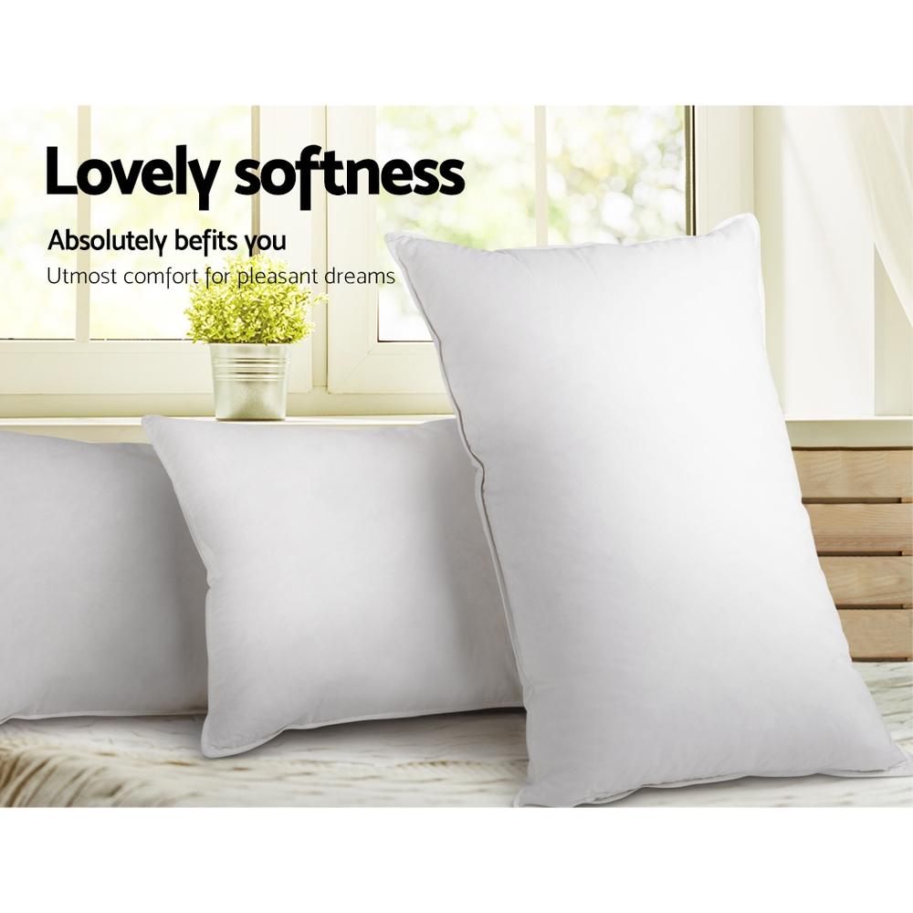 Giselle Bedding Set of 2 Duck Down Pillows in white, showcasing soft cotton casing and plush filling for ultimate comfort.