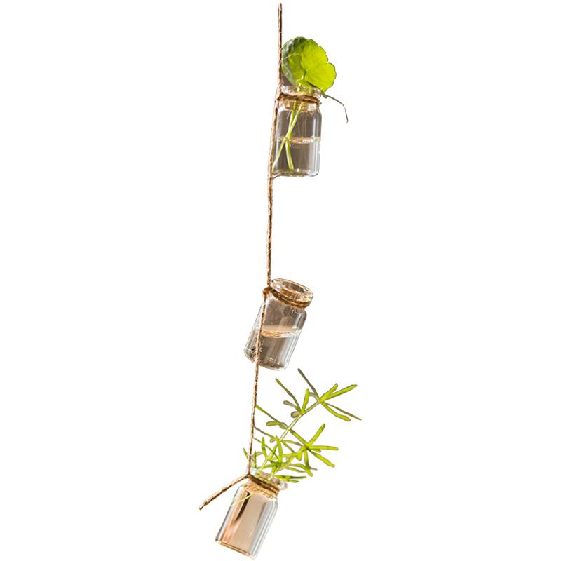 Set of 3 glass planters hanging from hemp rope, showcasing indoor plants in a stylish arrangement.