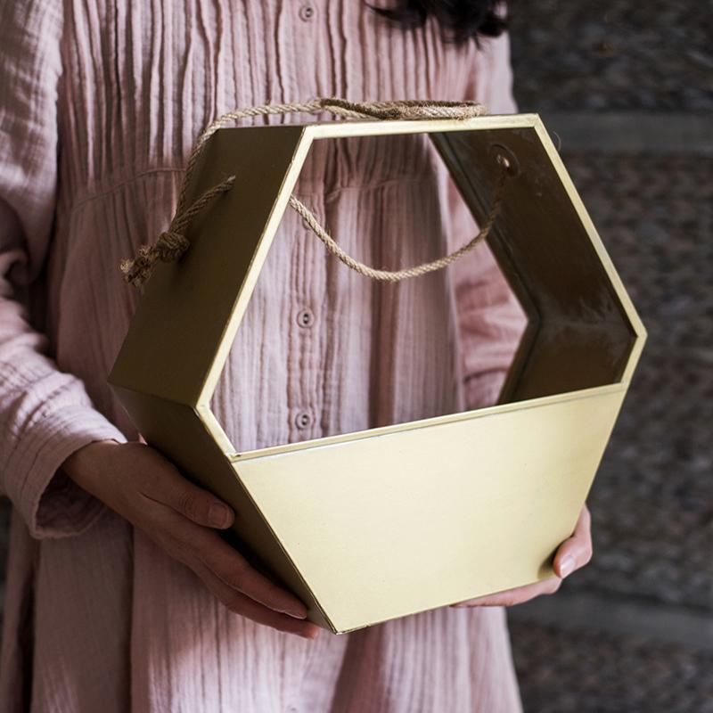 Gold Metal Hexagon Hanging Planter showcasing its modern design and durable construction, perfect for indoor and outdoor decor.