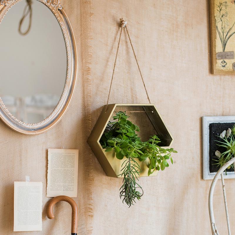 Gold Metal Hexagon Hanging Planter showcasing its modern design and durable construction, perfect for indoor and outdoor decor.