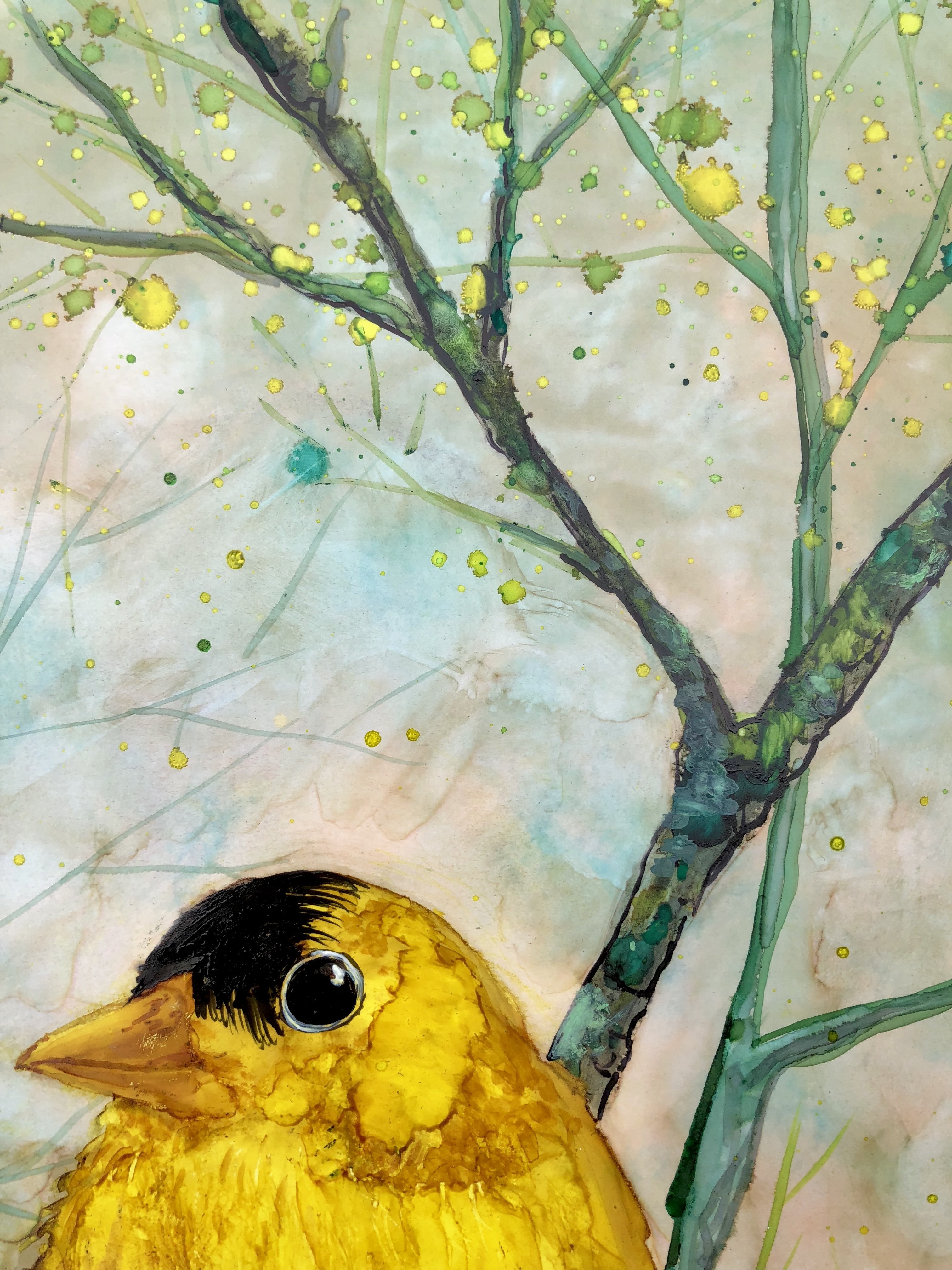 A vibrant golden finch perched on delicate tree branches, surrounded by a peaceful background, showcasing intricate details and soothing colors.