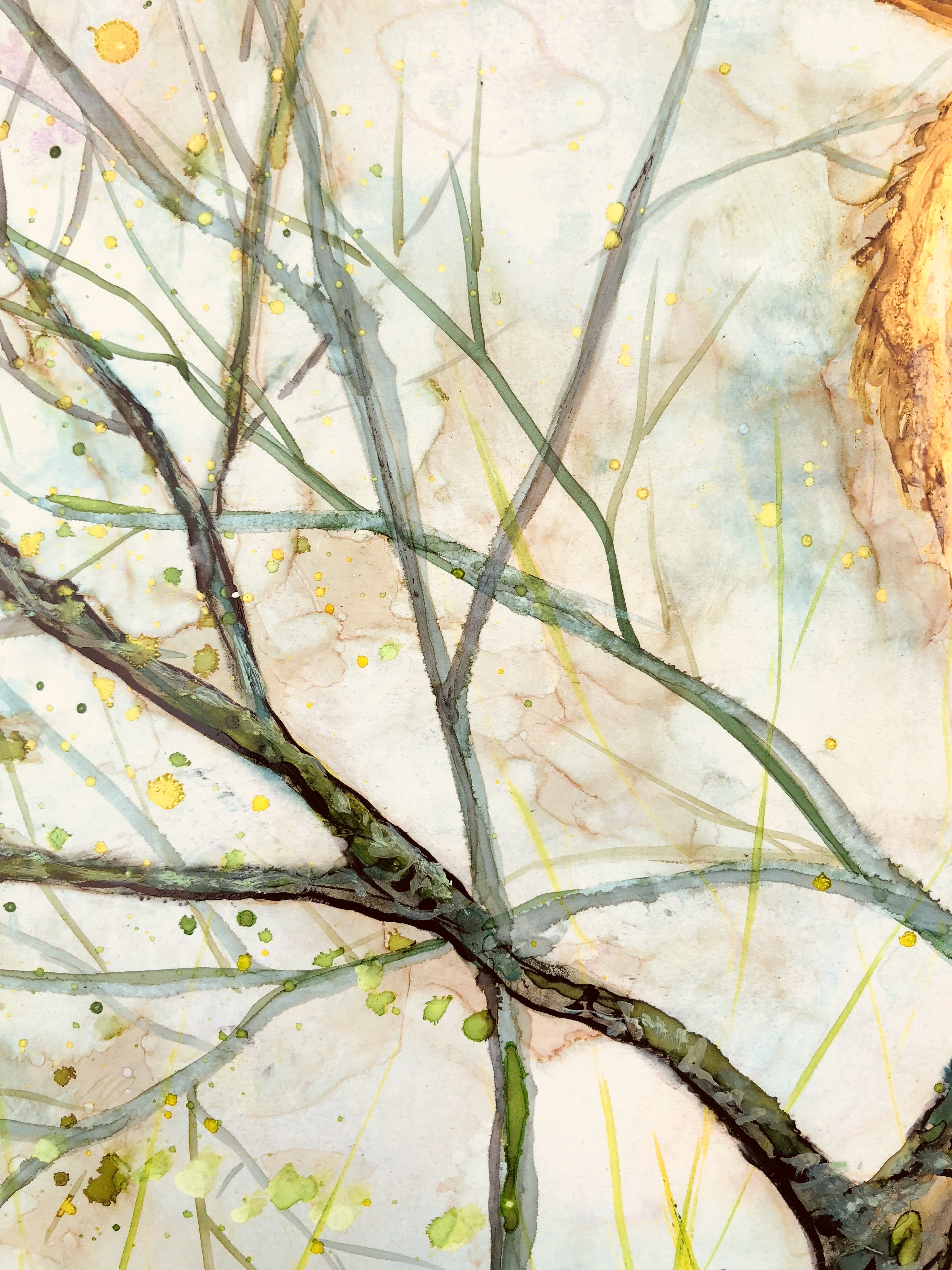 A vibrant golden finch perched on delicate tree branches, surrounded by a peaceful background, showcasing intricate details and soothing colors.