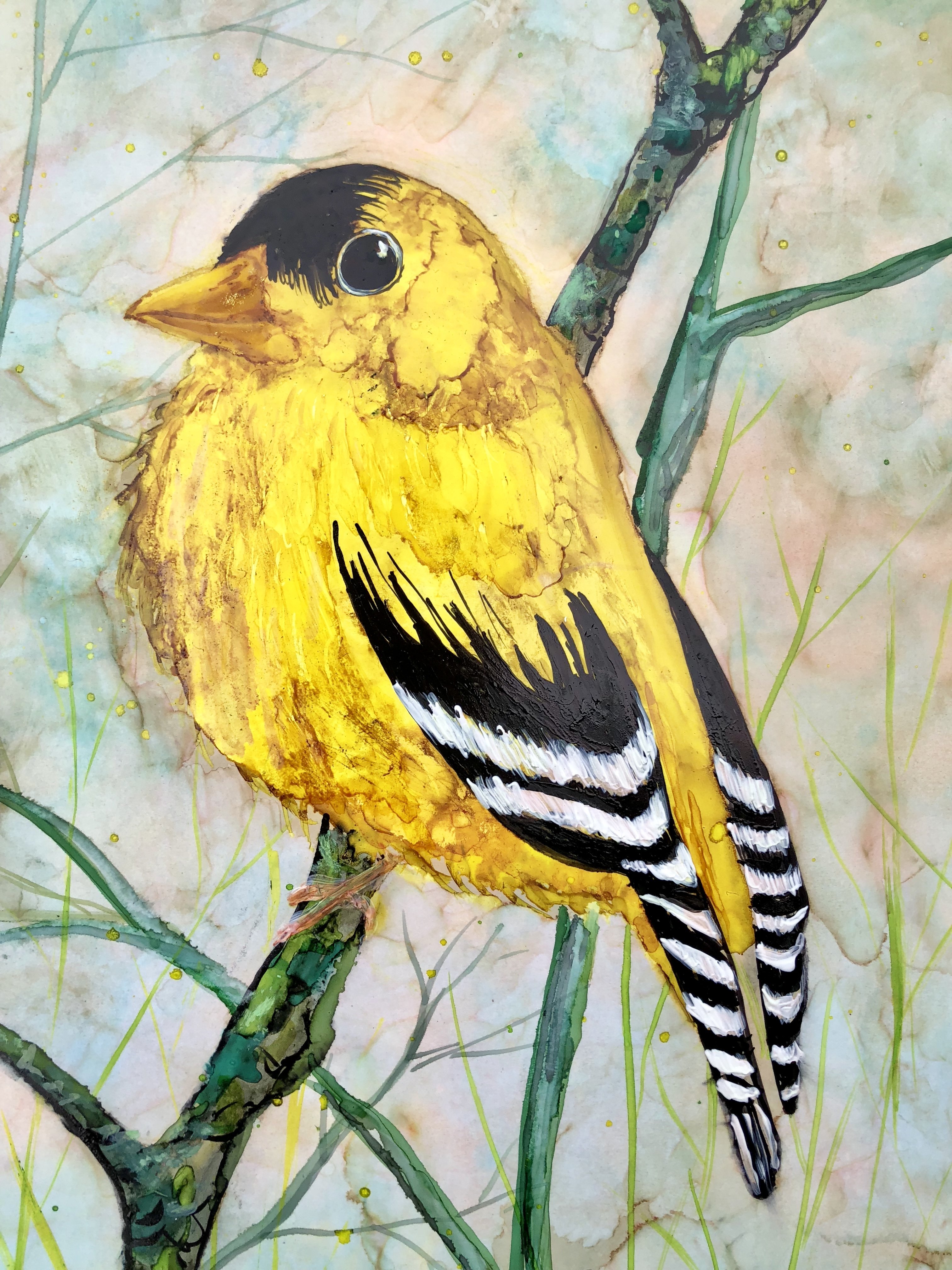 A vibrant golden finch perched on delicate tree branches, surrounded by a peaceful background, showcasing intricate details and soothing colors.