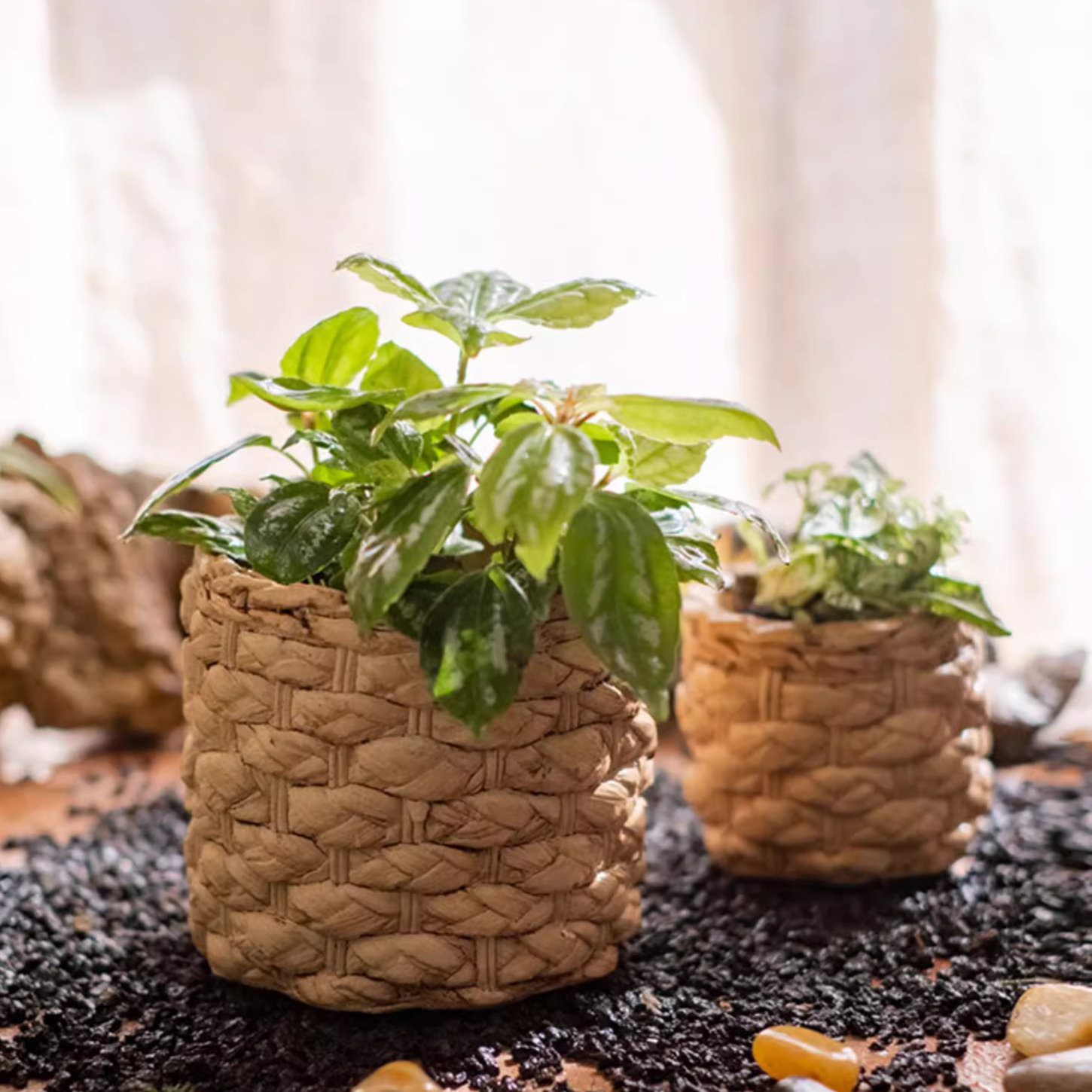 Grass Woven Looking Cement Planter in khaki and brown, showcasing its unique woven design and drainage hole.