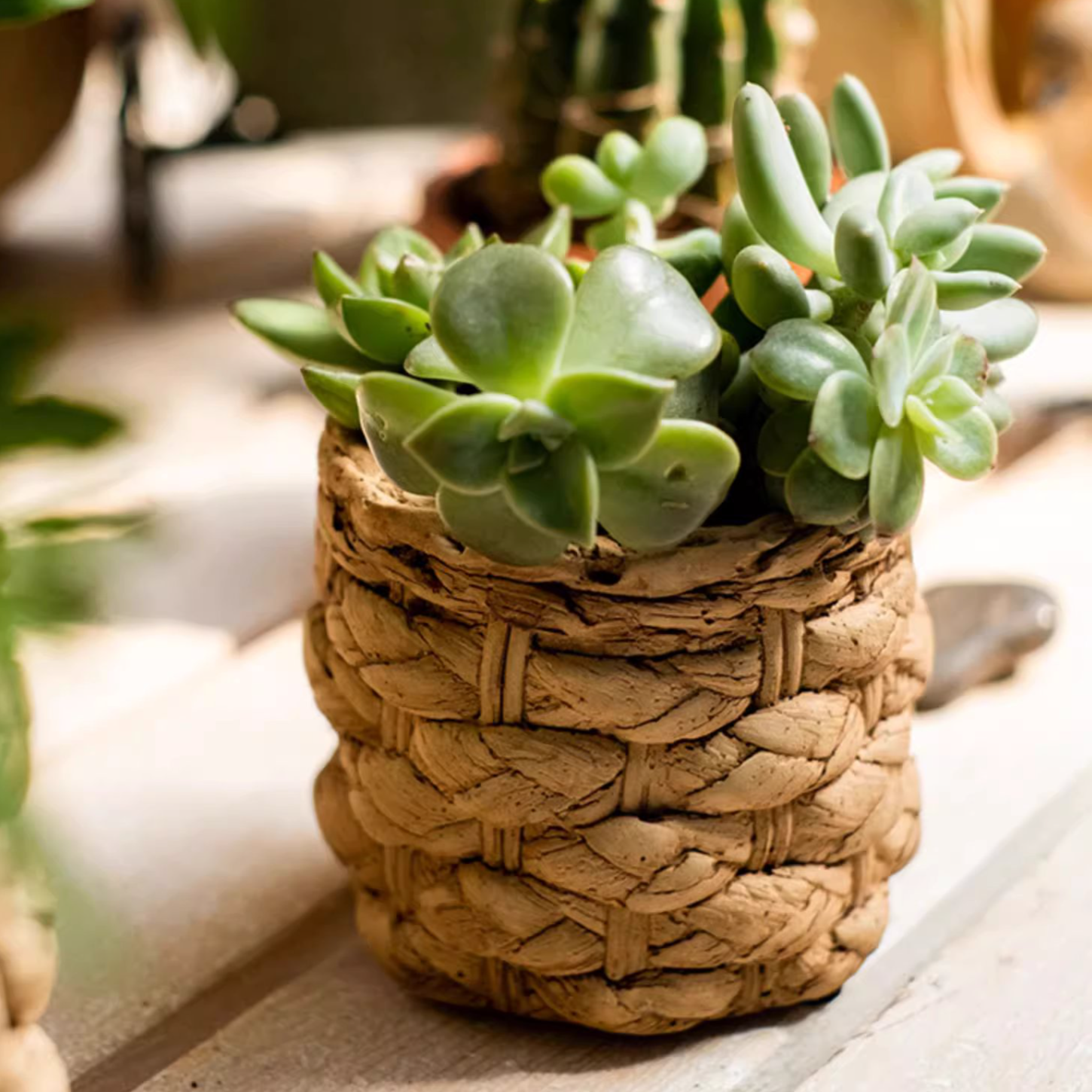 Grass Woven Looking Cement Planter in khaki and brown, showcasing its unique woven design and drainage hole.