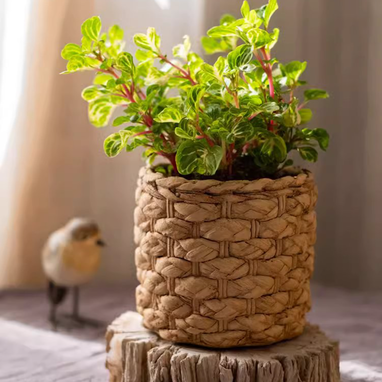 Grass Woven Looking Cement Planter in khaki and brown, showcasing its unique woven design and drainage hole.