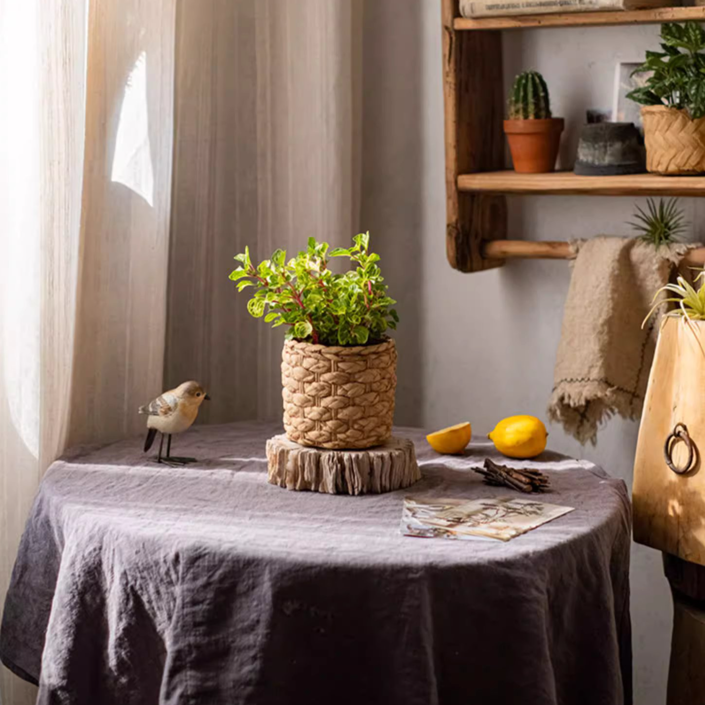 Grass Woven Looking Cement Planter in khaki and brown, showcasing its unique woven design and drainage hole.