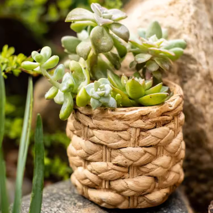 Grass Woven Looking Cement Planter in khaki and brown, showcasing its unique woven design and drainage hole.