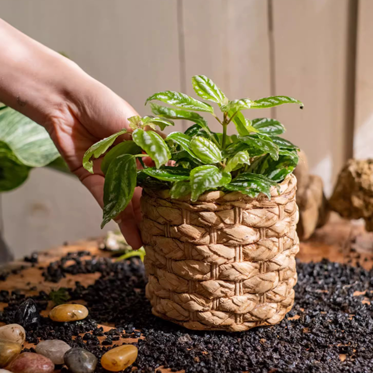 Grass Woven Looking Cement Planter in khaki and brown, showcasing its unique woven design and drainage hole.