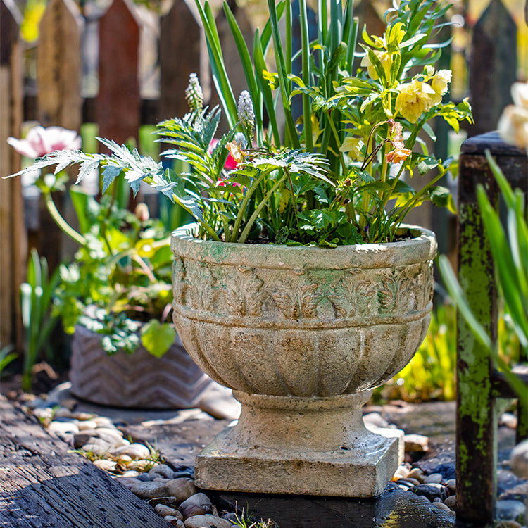 Greek Corinthian Style Flower Vase with ornamental carvings, showcasing a vintage design in ivory color, perfect for floral arrangements.