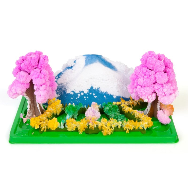 A vibrant Grow Magic Garden kit showcasing sprouting leaves from paper, illustrating the magic of nature.