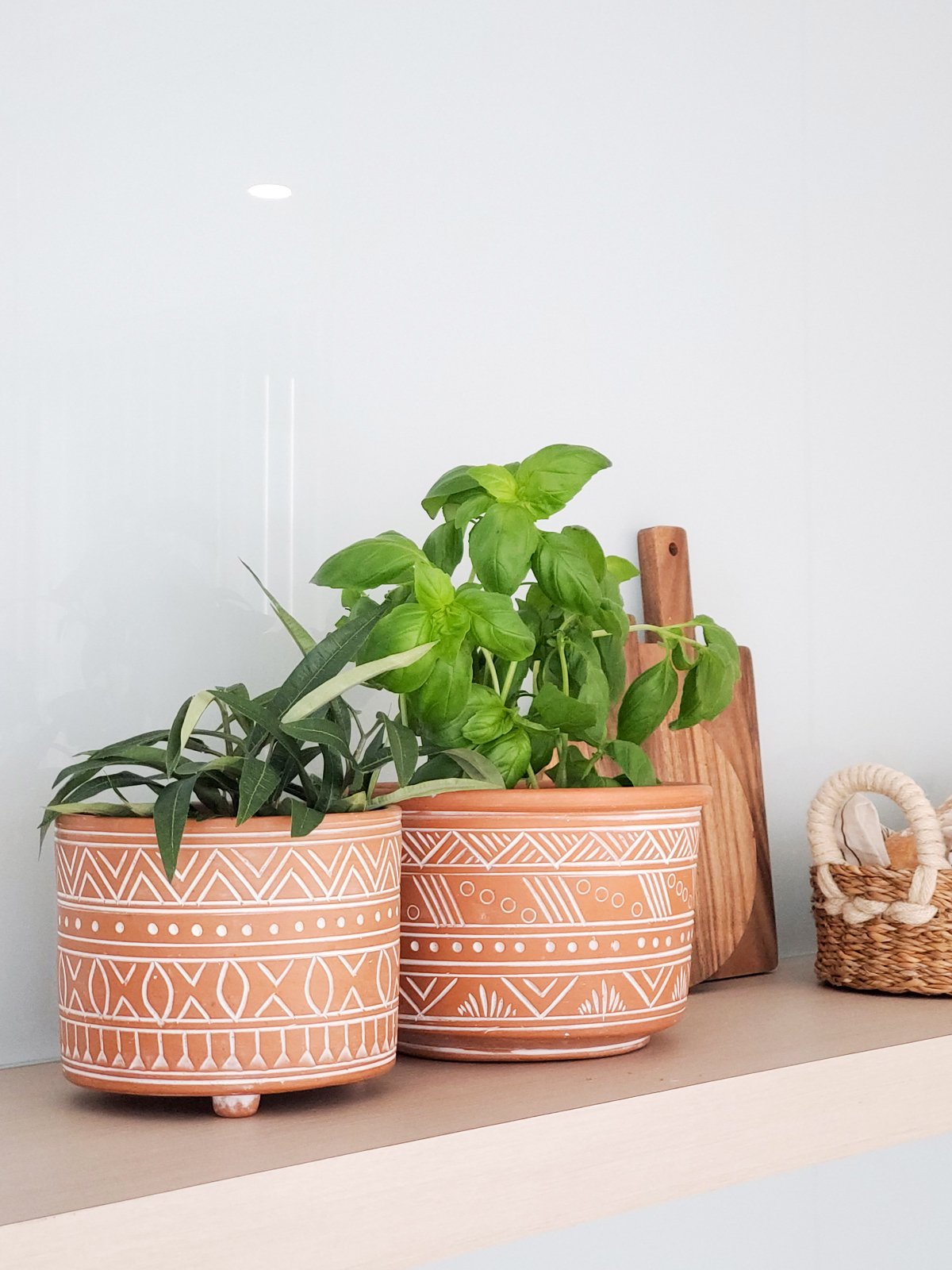 Large hand-etched terracotta pot showcasing intricate designs, perfect for indoor and outdoor plants.