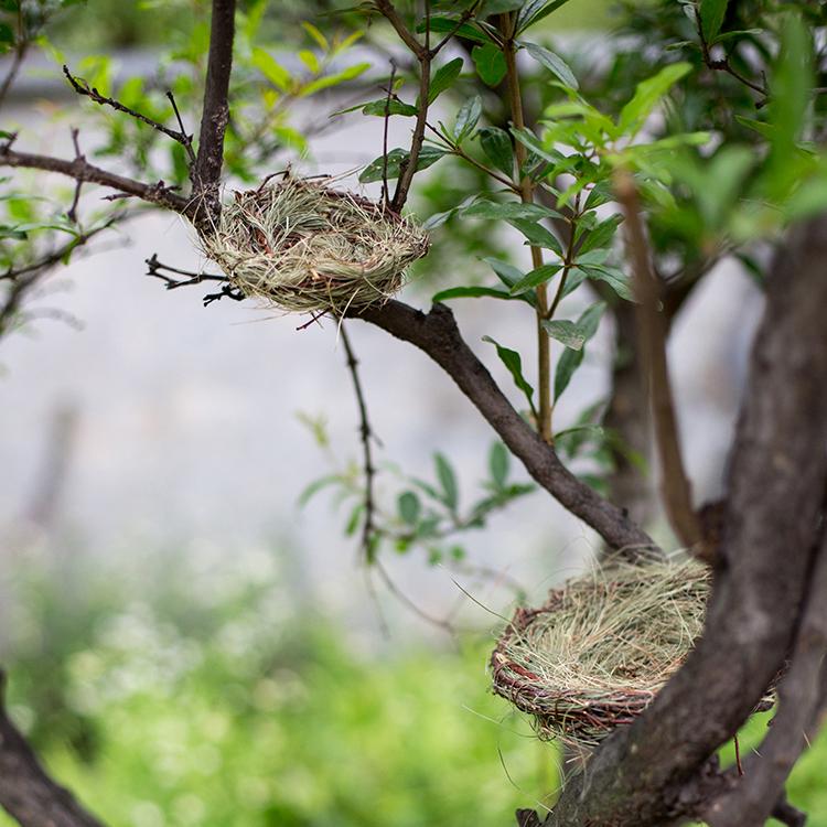 Set of 3 handmade bird's nest ornaments made from grass and willow, showcasing natural colors of brown and green.