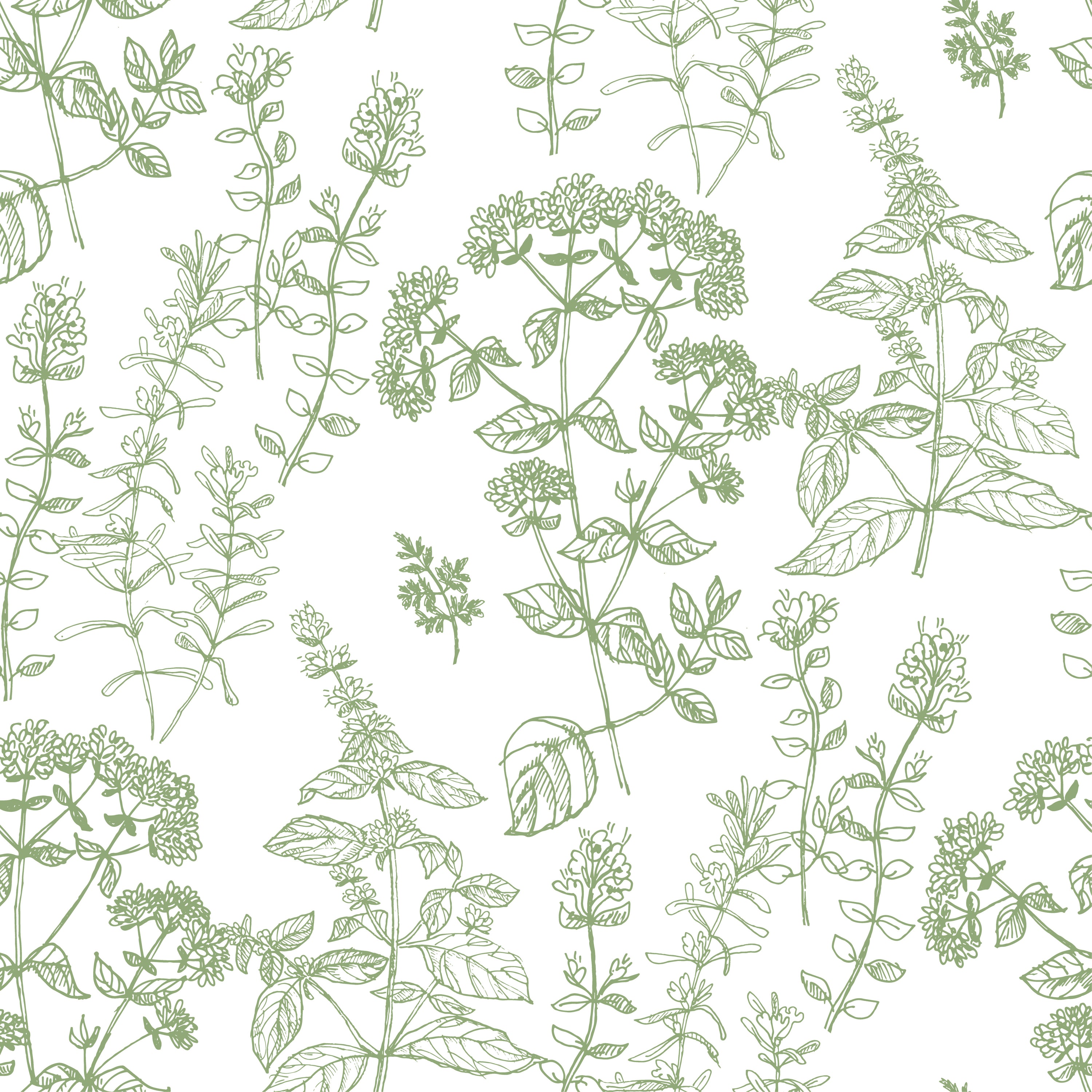 Handrawn Botanicals Wallpaper featuring vibrant colors and modern design, perfect for home decor.