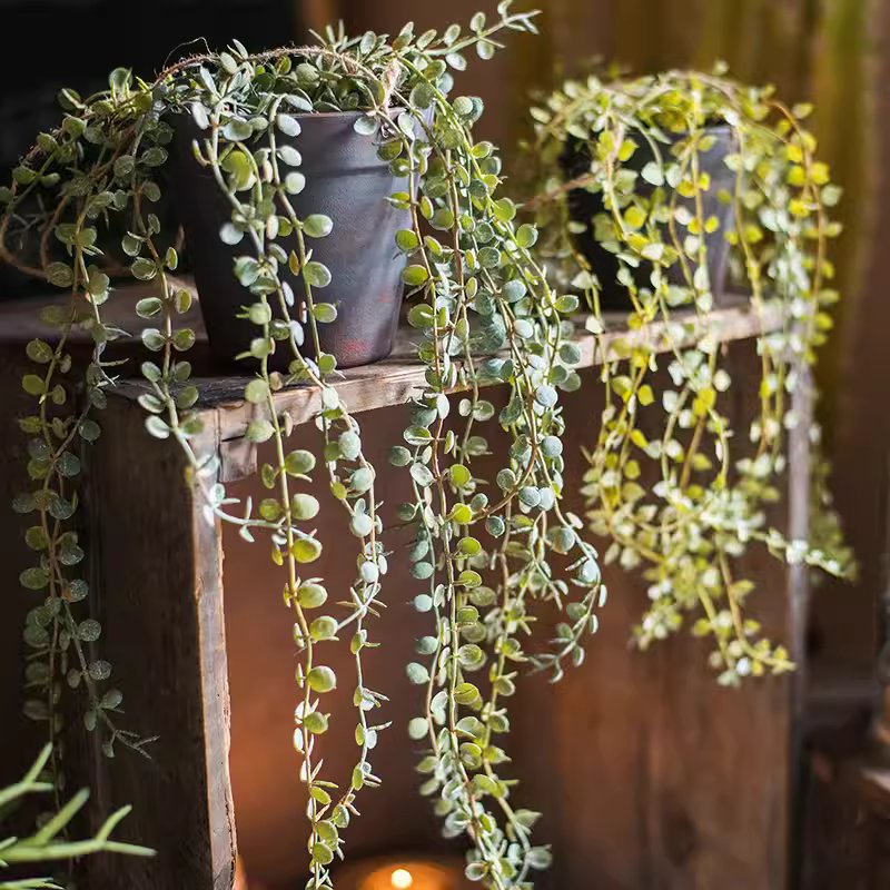 Hanging Faux Ceropegia Vine in a black pot, showcasing lush green leaves and a decorative rope for hanging.